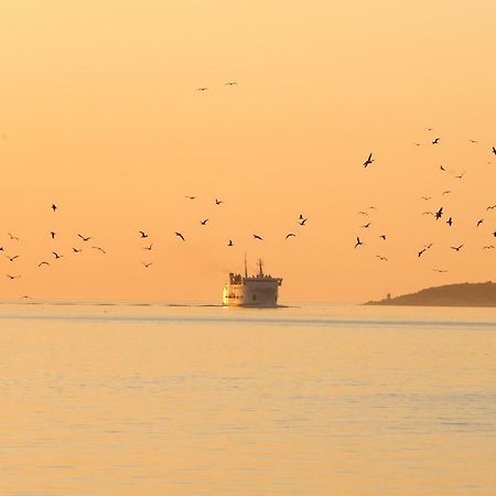 Boris Daire Vela Luka Dış mekan fotoğraf