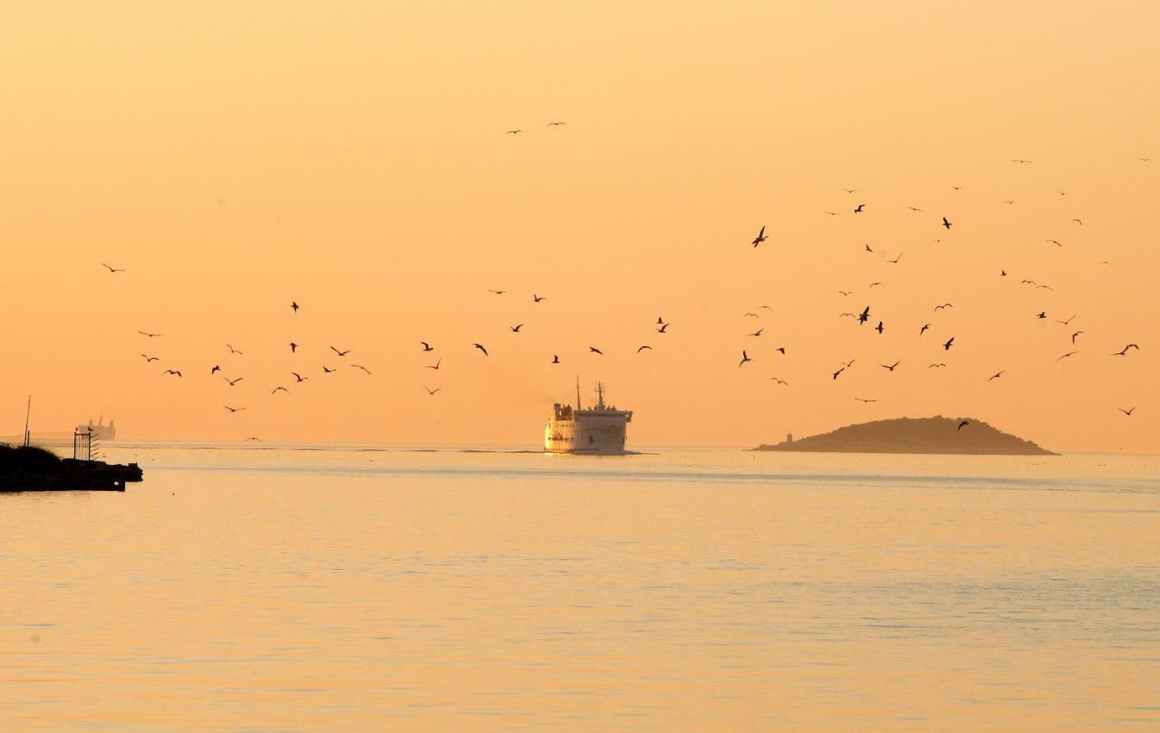 Boris Daire Vela Luka Dış mekan fotoğraf